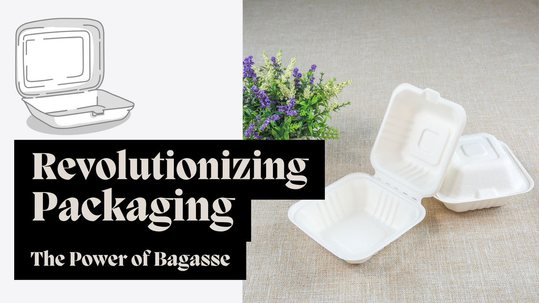 Revolutionising Packaging: The Power of Bagasse with Artond Packaging