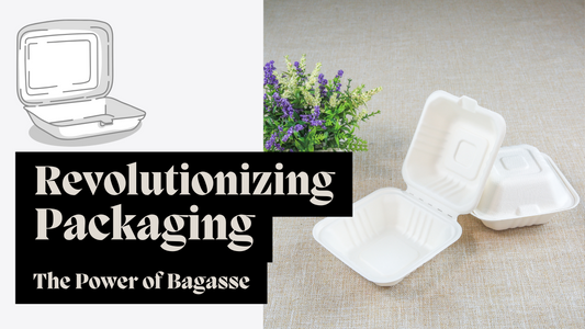 Revolutionising Packaging: The Power of Bagasse with Artond Packaging