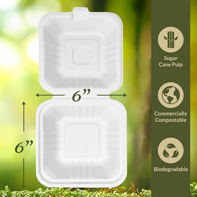 Takeaway Bagasse Sugarcane Burger Box 6 x 6 (200 pcs)