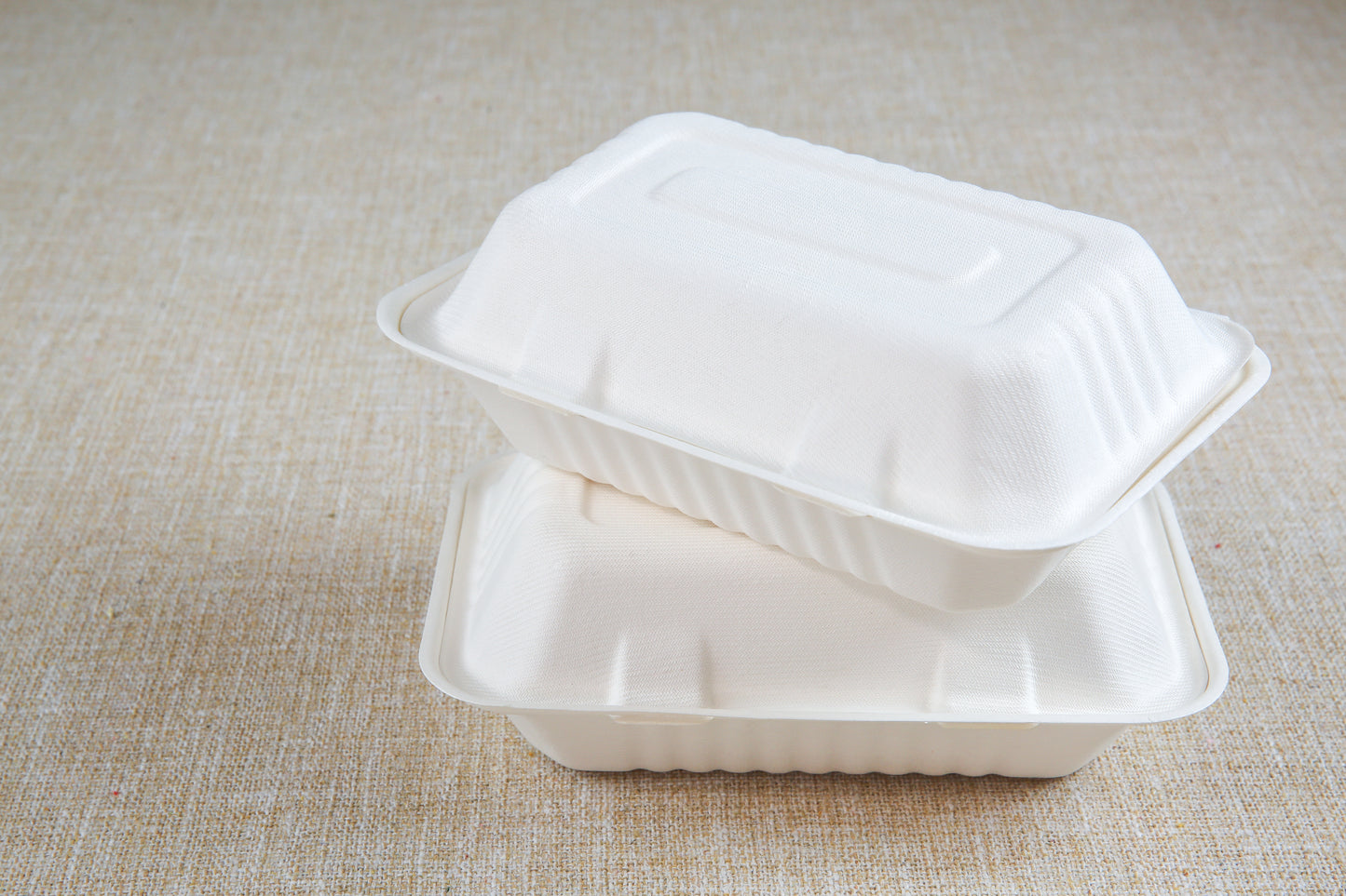 Bagasse Clamshell 9" x 6" (200 pcs)